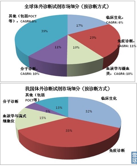 海外体外B（中国）市场